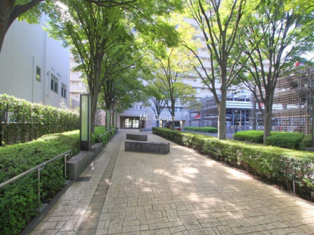 �G���g�����X�@-