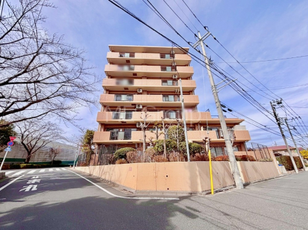 ���n�O�ώʐ^�@��Ƃ肪�Ί�𐶂ސS�n�悢����