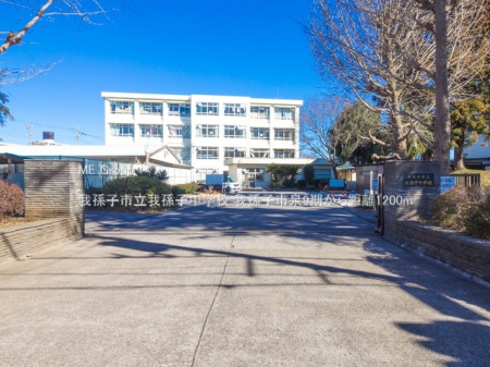 ���ӊ��@���w�Z 1200m �䑷�q�s���䑷�q���w�Z