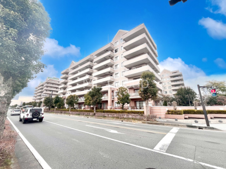 ���n�O�ώʐ^�@����z���ł��Ƒ��̏Ί���P��