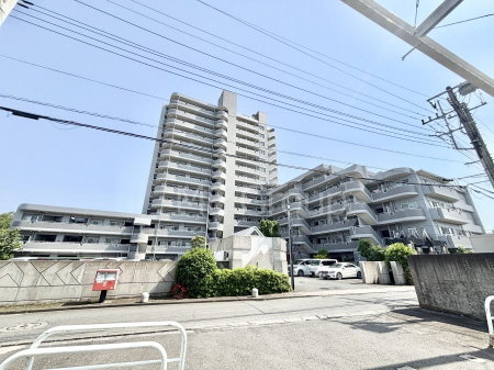 ���n�O�ώʐ^�@����z���ł��Ƒ��̏Ί���P�� 