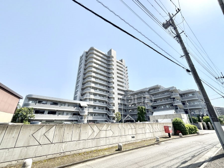 ���n�O�ώʐ^�@��������n�܂�V�����������������܂�