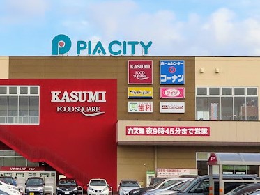 ���ӊ��@�X�[�p�[ 1100m �J�X�~ �t�[�h�X�N�G�A �����V�h�X