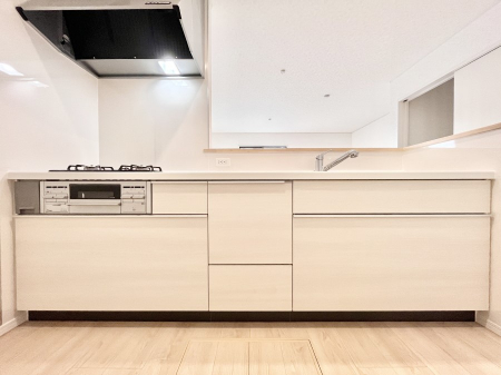 �L�b�`���@�������������I�ɁA�y�����I�V�X�e���L�b�`��  