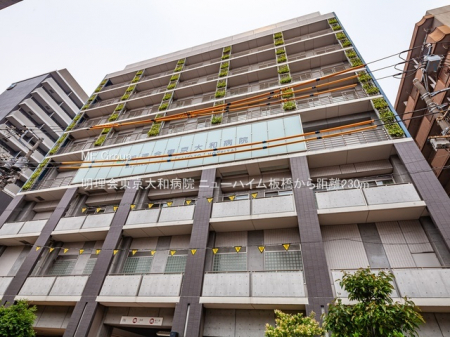 ���ӊ��@�a�@ 230m ���������a�a�@