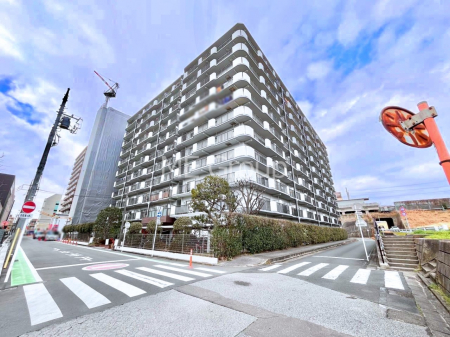 ���n�O�ώʐ^�@��������n�܂�V�����������������܂�