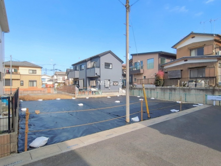 ���n�y�n�ʐ^�@-