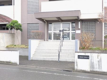 �G���g�����X�@-