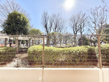 ���̑��@���z�̌b�݂�������ꂻ���I����������̒��]�ł��B