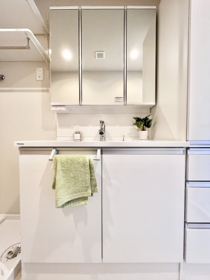 ���ʑ�E���ʏ��@�X�^�C�����O�ɕ֗��ȎO�ʋ��A�~���[�L���r�l�b�g�ōׂ������X�b�L��