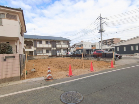 ���n�y�n�ʐ^�@-