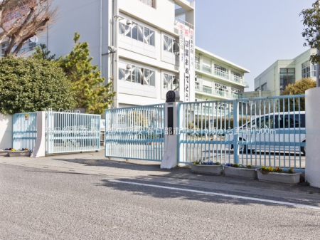 ���ӊ��@���w�Z 1500m �t�����s���t�������w�Z