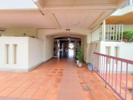 �G���g�����X�@-