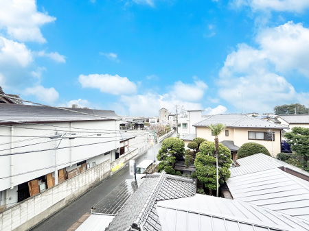 ���̑��@�o���R�j�[����̒��]�ł�