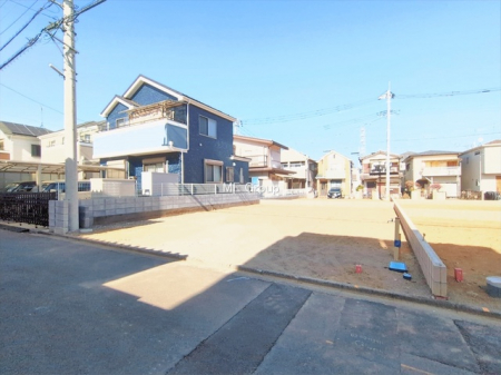 ���n�y�n�ʐ^�@-