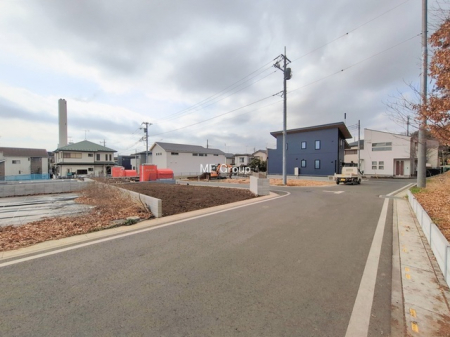 ���n�y�n�ʐ^�@-