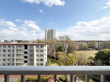 ���̑��@�o���R�j�[����̒��]�ł�