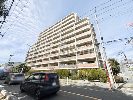 ���n�O�ώʐ^�@����z���ł��Ƒ��̏Ί���P�� 