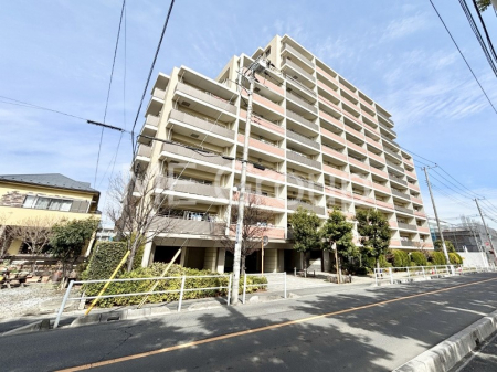 ���n�O�ώʐ^�@��������n�܂�V�����������������܂��I