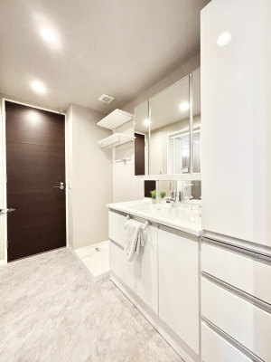 ���ʑ�E���ʏ��@���[�͂Ƌ@�\���ɗD�ꂽ���ʉ��ϑ�  �@