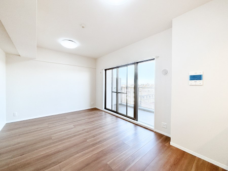 ���̑����ρ@�傫�ȑ����炽���Ղ�̗z���ƕ�����������_�C�j���O  