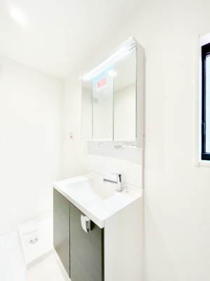 ���̑��@�_�炩�Ȓ��̌����������鑋�����������h���[�X�y�[�X