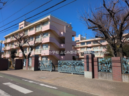 ���ӊ��@���w�Z 800m �ӂ��ݖ�s���������w�Z