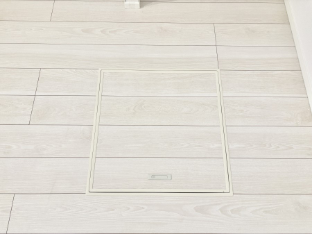 ���̑����ρ@�������[�t���I���p�i�E���p�i�̎��[�ɂ��劈��B