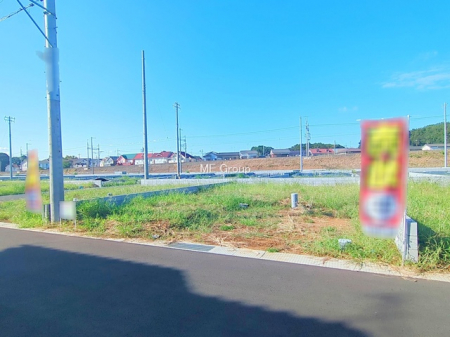 ���n�y�n�ʐ^�@-