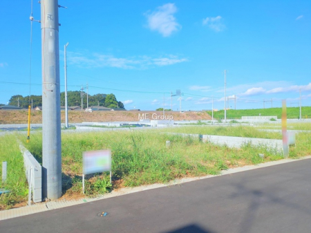 ���n�y�n�ʐ^�@-