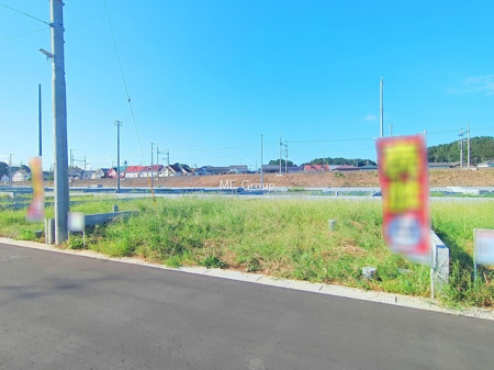 ���n�y�n�ʐ^�@-