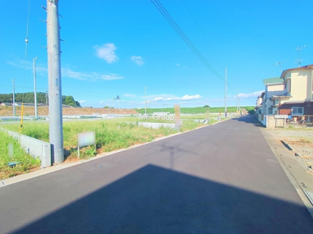 ���n�y�n�ʐ^�@-