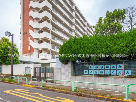 ���ӊ��@�c�t���E�ۈ牀 250m �����u���ۈ牀