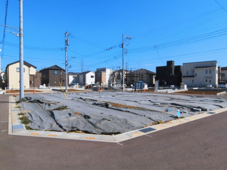 ���n�y�n�ʐ^�@-