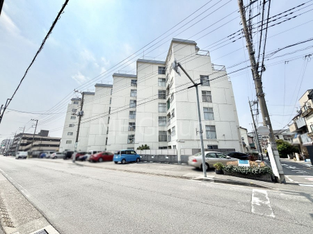 ���n�O�ώʐ^�@��������n�܂�V�����������������܂�