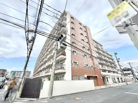 ���n�O�ώʐ^�@����z���ł��Ƒ��̏Ί���P�� 