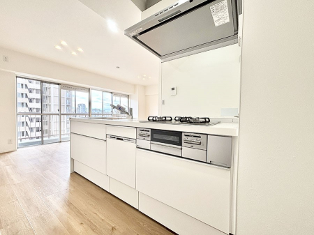 �L�b�`���@�������̂������ŉƑ��̏Ί炪�L����܂��I