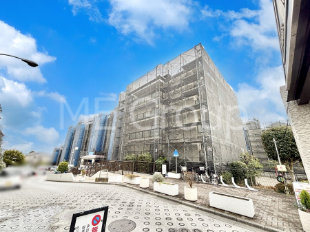 ���n�O�ώʐ^�@��Ƃ肪�Ί�𐶂ސS�n�悢���� 