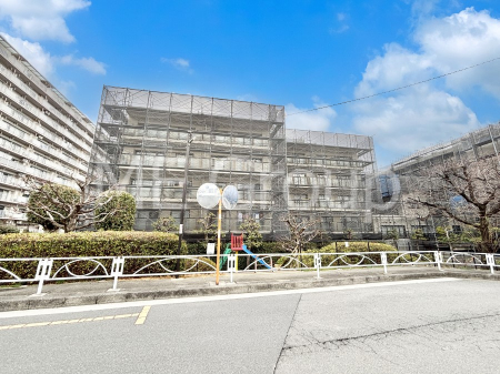 ���n�O�ώʐ^�@��������n�܂�V�����������������܂�