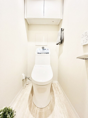 �g�C���@�g�C���͉������@�\�t��