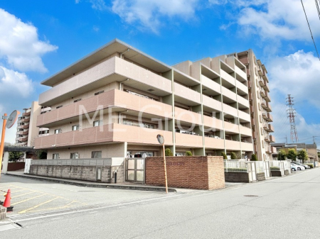 ���n�O�ώʐ^�@����z���ł��Ƒ��̏Ί���P�� 