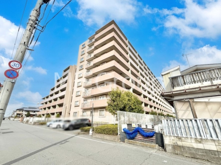 ���n�O�ώʐ^�@��Ƃ肪�Ί�𐶂ސS�n�悢���� 