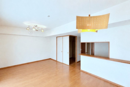 ���̑����ρ@�Ƒ������R�ƏW�܂�e���̃X�y�[�X�ɂȂ肻��