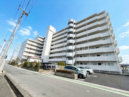 ���n�O�ώʐ^�@����z���ł��Ƒ��̏Ί���P��