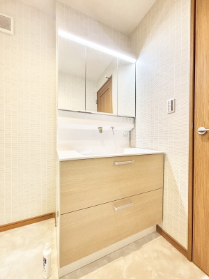 ���ʑ�E���ʏ��@���[�͂Ƌ@�\���ɗD�ꂽ���ʉ��ϑ�