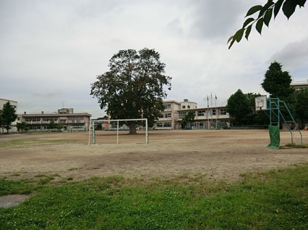 ���ӊ��@���w�Z 950m �{�㒬���{�ꏬ�w�Z