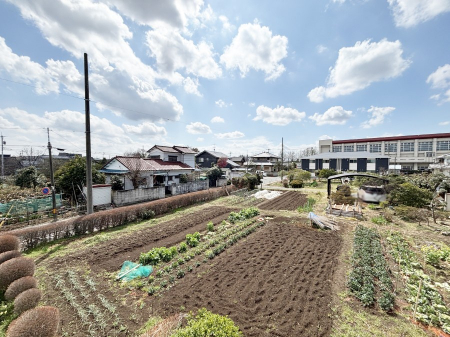 ���̑��@�o���R�j�[����̒��]�ł�