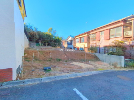 ���n�y�n�ʐ^�@-