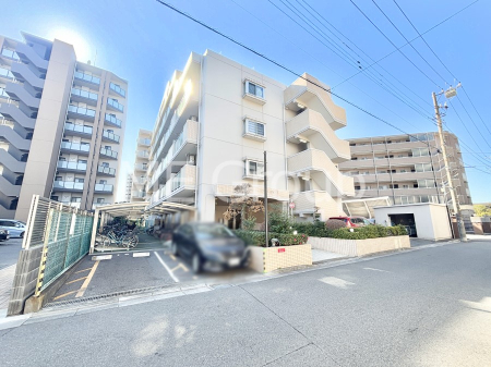 ���n�O�ώʐ^�@��Ƃ肪�Ί�𐶂ސS�n�悢����