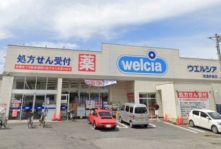 ���ӊ��@�h���b�O�X�g�A 500m �E�G���V�A�����䍪�X